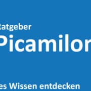 Picamilon Erfahrungen