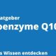 Coenzyme Q10 Wirkung auf das Gehirn und die kognitiven Funktionen.
